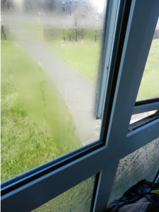 Misted sealed glazed unit will need renewal.