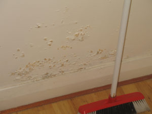 Image of cream wall with peeling paint indicating damp